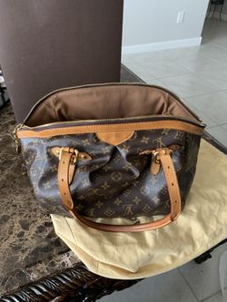 Louis Vuitton bag/ purse