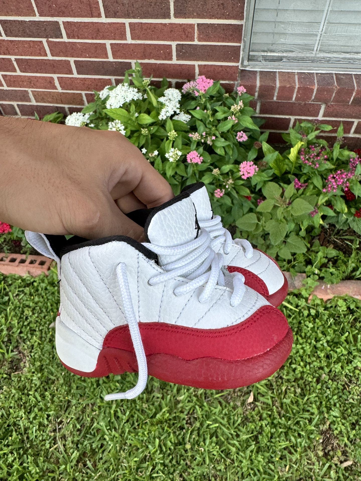 Jordan 12 Cherry