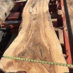Live Edge2 Inch Thick  Ash Slabs 