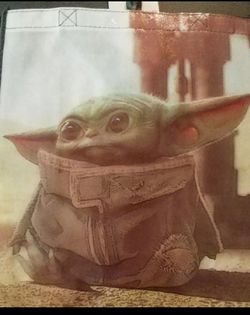 The Child Reusable Bag