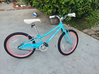 Guardian  20 Inch Small Ethos Bike