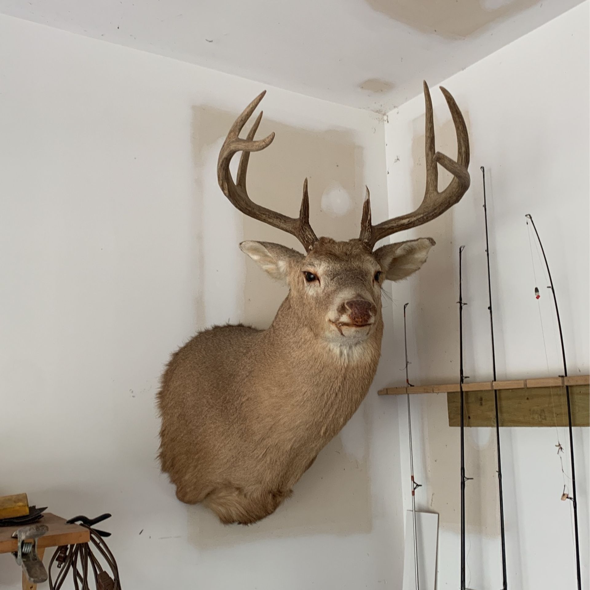 Head mount