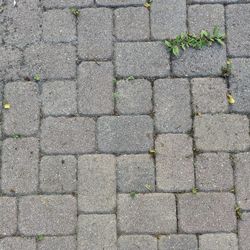 Pavers 6x9 For Back Yard Patio 