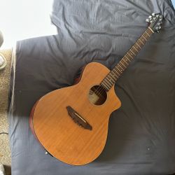 Breedlove Acoustic/electric Guitar 