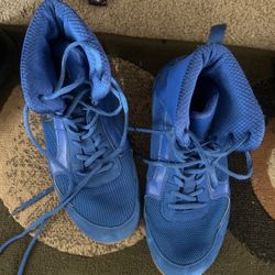 Boxing Shoes (Hayabusa)