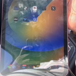 8th Generation iPad Pink