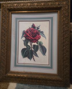 Rose Wall Art