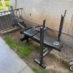 Weight Bench