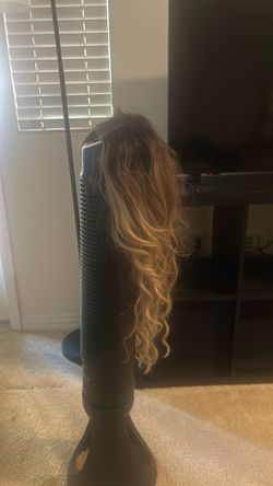Very Nice Quality Wig New $30