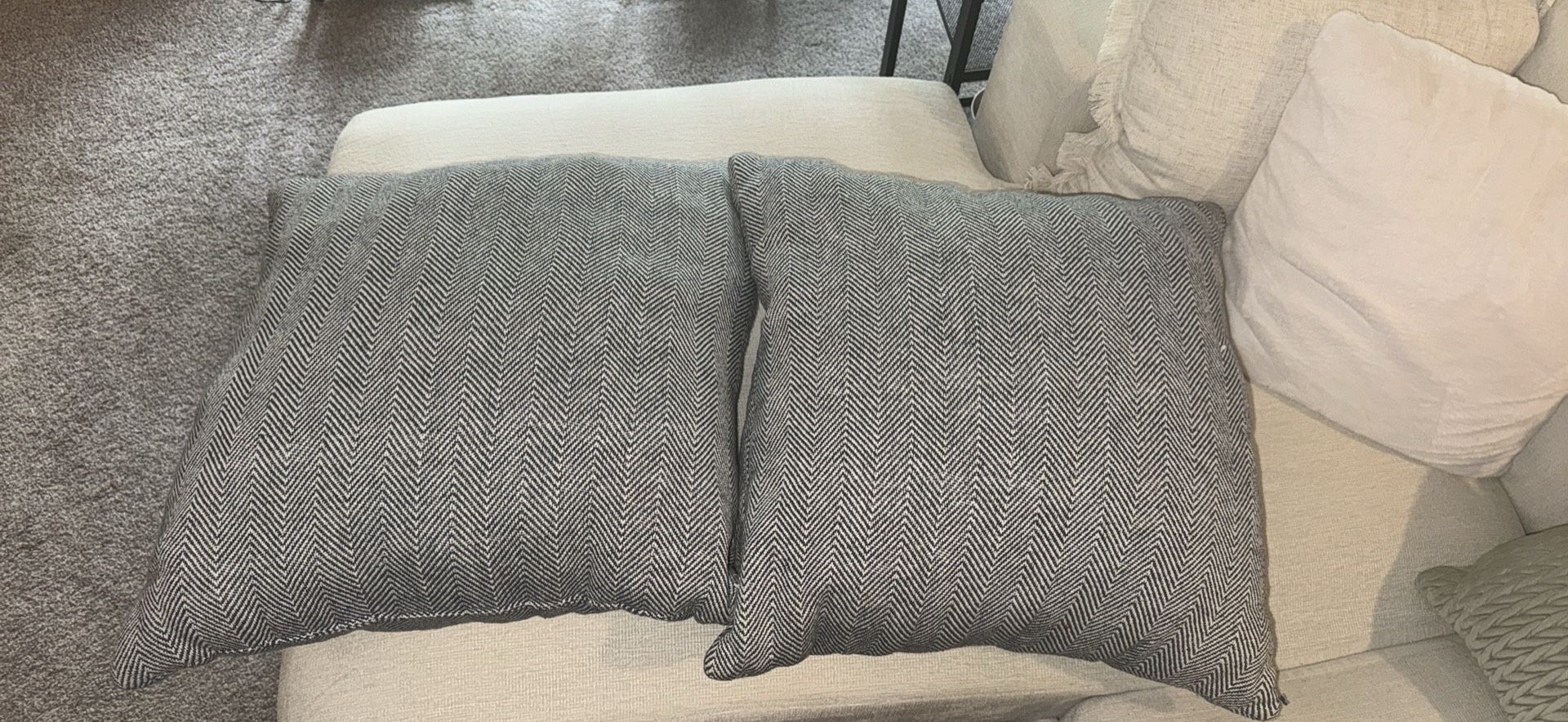 Set Of 2 Throw Pillows