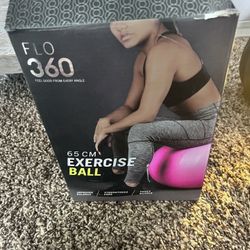 FLO 360 Exercise Ball