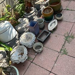 Plant Pots