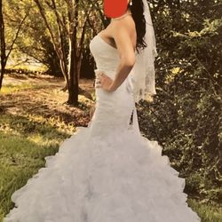 Wedding Dress & Accessories 