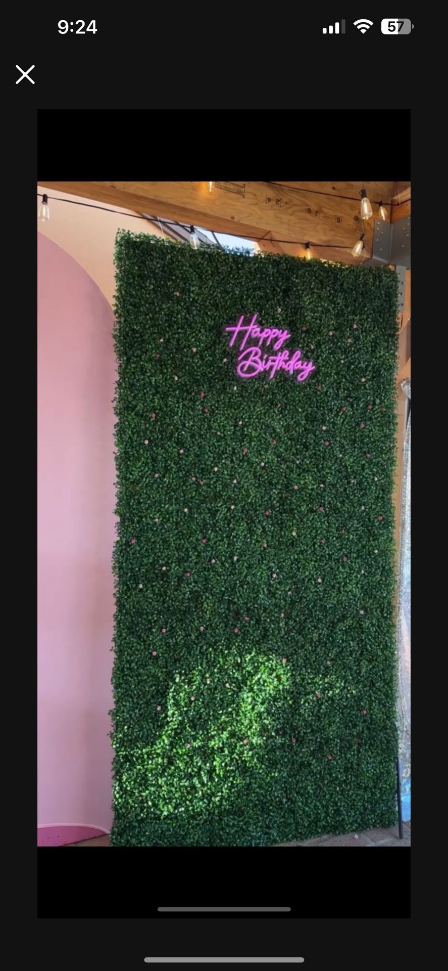 Greenery Backdrop