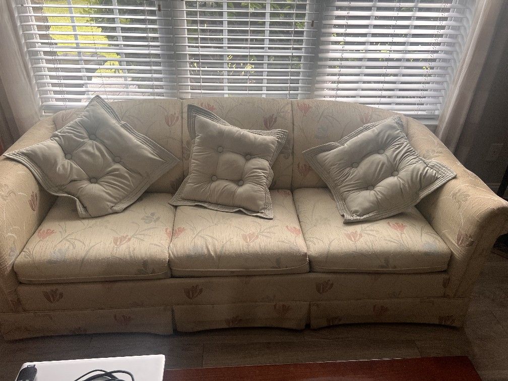 Free Sleeper Sofa