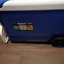 IGLOO COOLER 