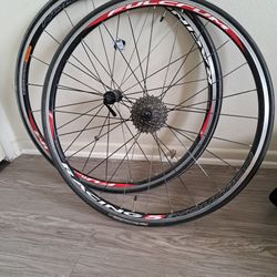 Bicycle RIM  