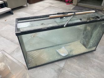 Free salt water aquarium