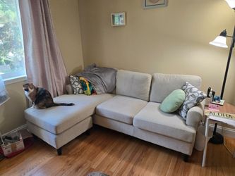 Cute couch from cat friendly house