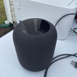 Apple Home Speaker