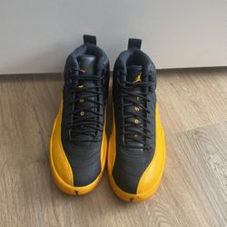 Jordan 12
