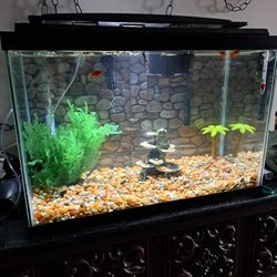 30 Gallon Tank 