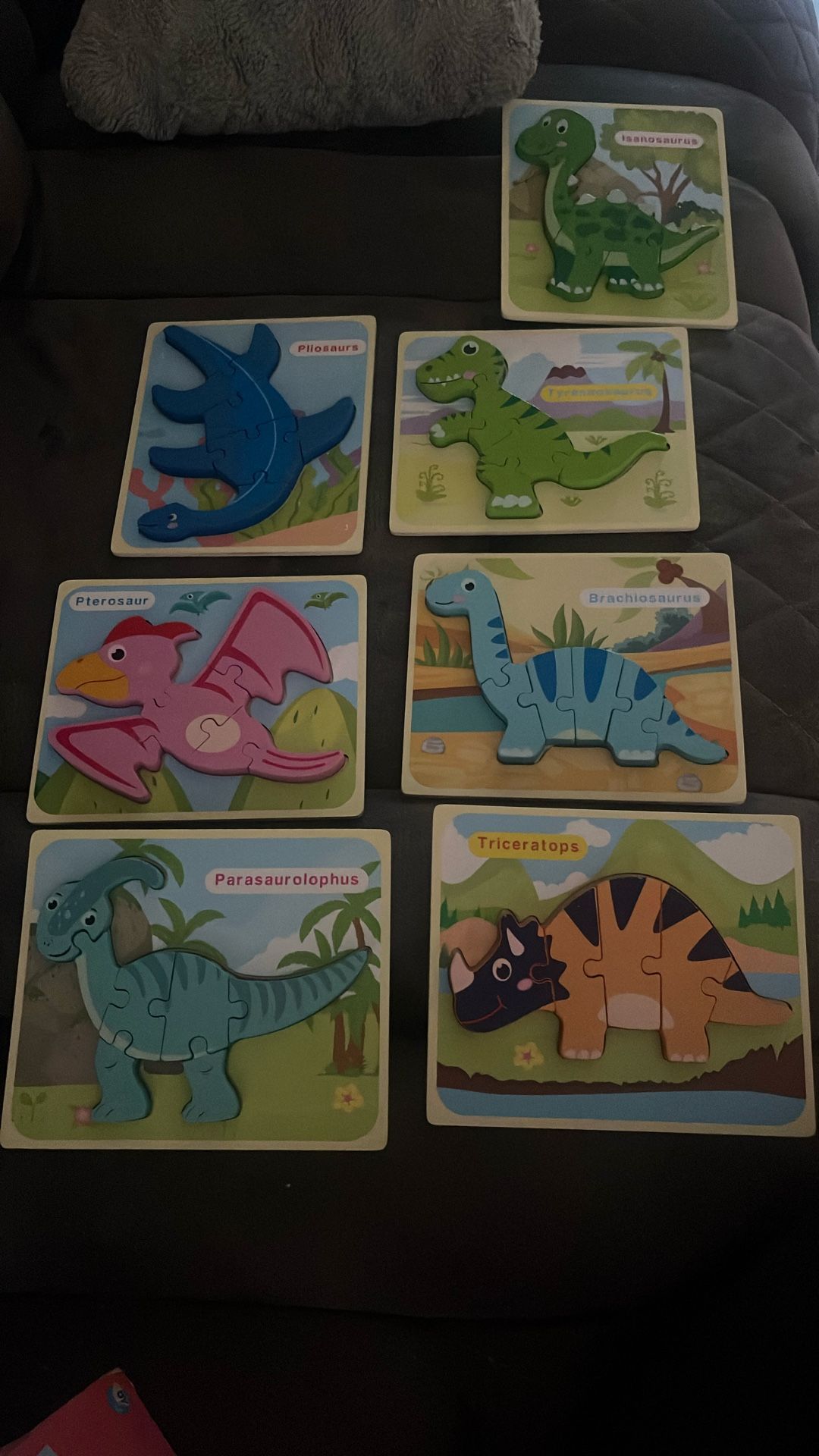 Dinosaur Puzzles Set Of 7