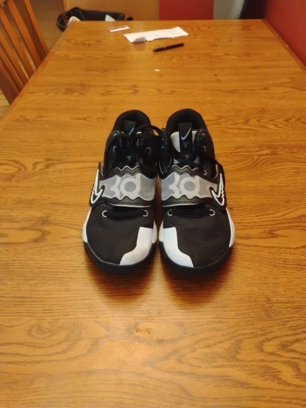 Nike LeBron