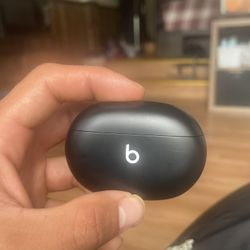 Beats Air Buds 