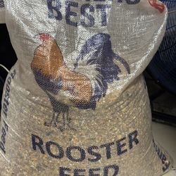 Rooster 🐔 Food /Comida De 🐓 