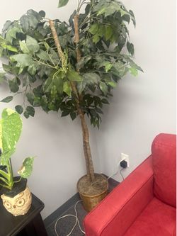 Faux Trees