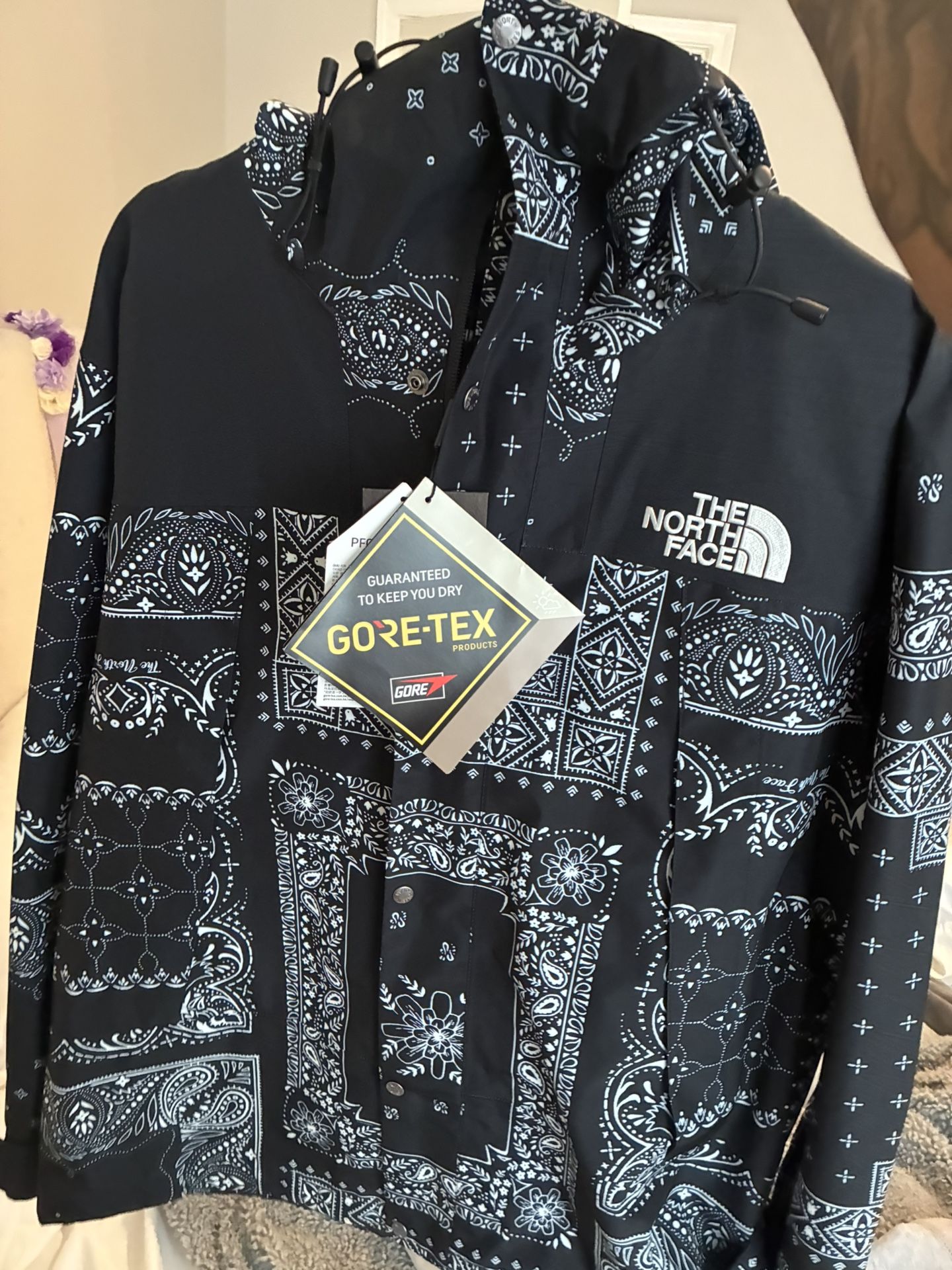 North Face Goretex Snow Jacket