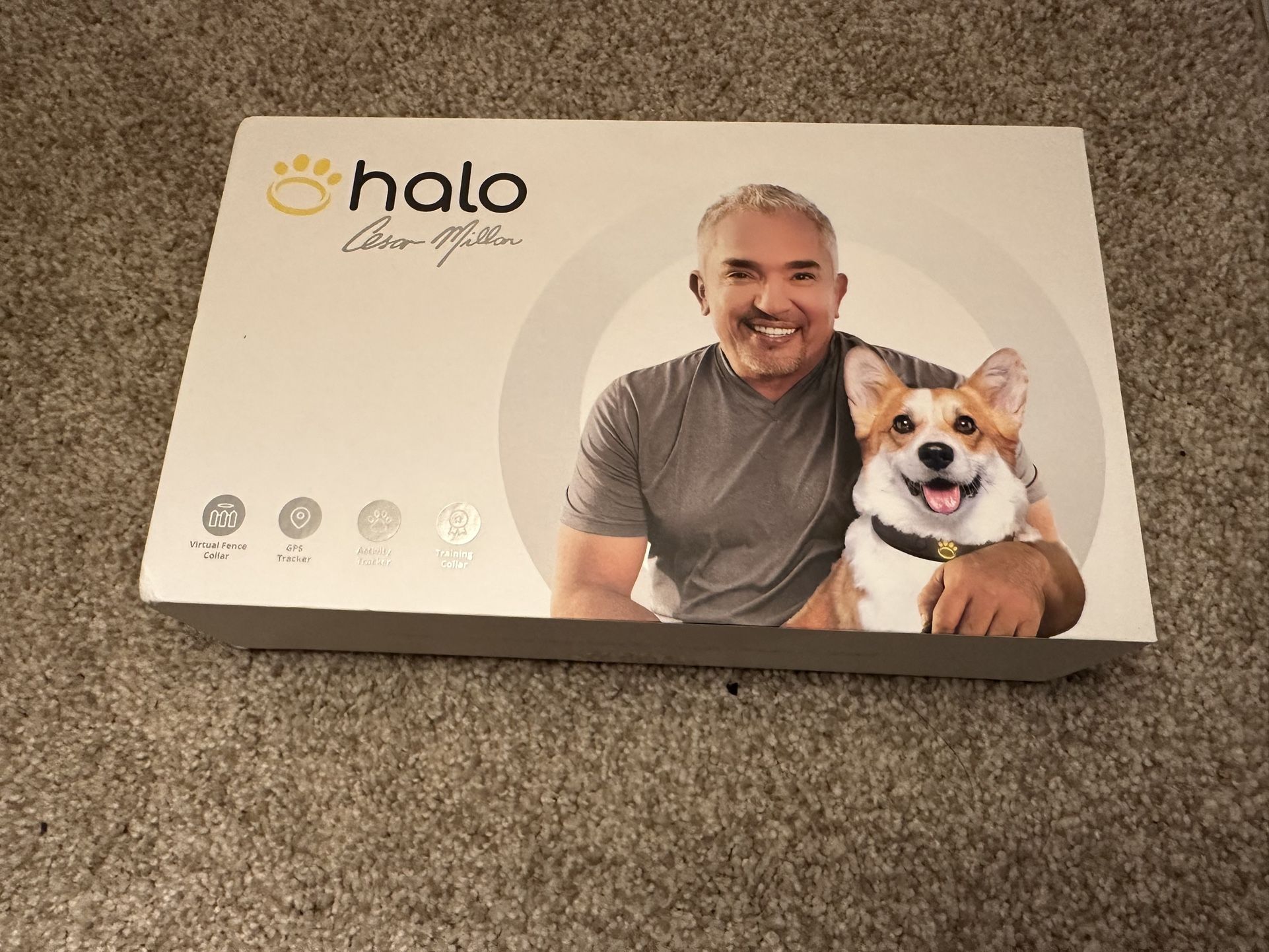 Halo Collar (smart collar, virtual fence) Gen 1 for Sale in Vashon
