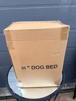 Large Bed dog