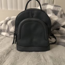 Vera wang backpack 2025 purse