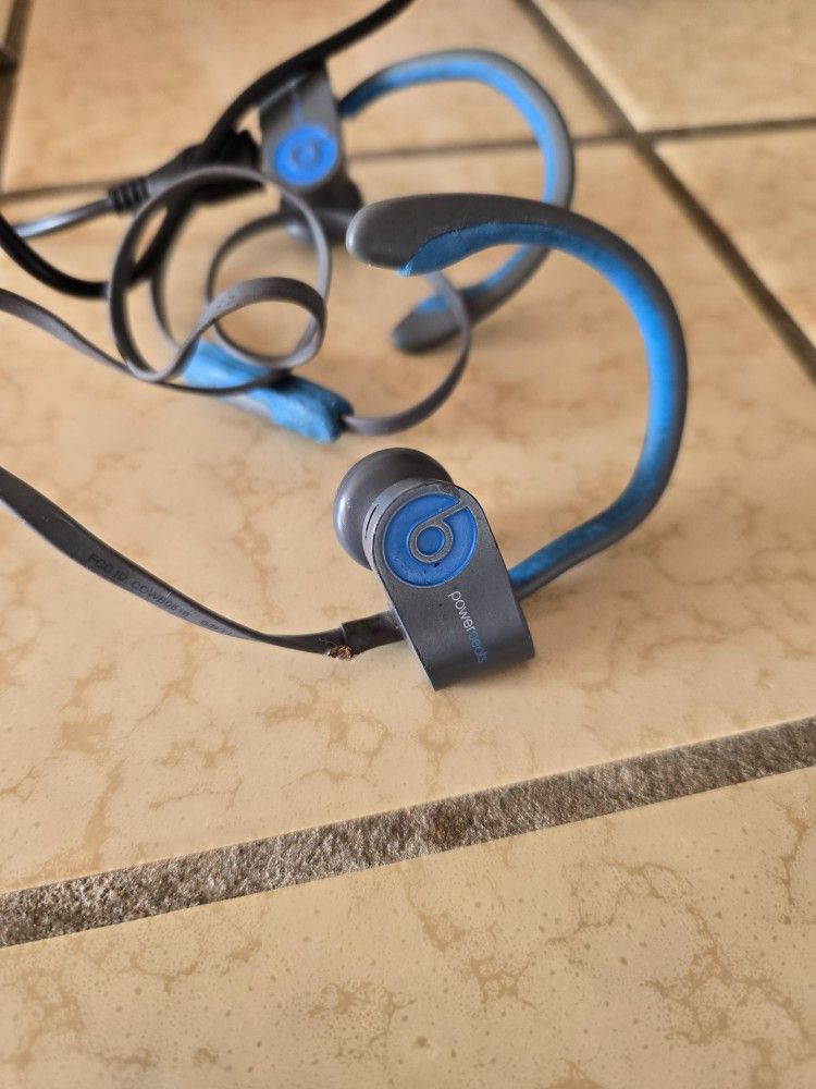 Beats Ear Buds Wired.