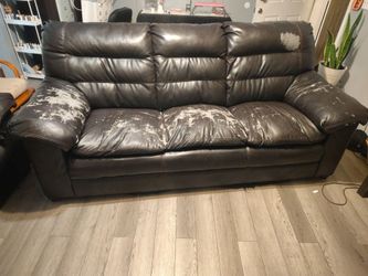 Free Couches