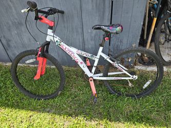 Avico bike
