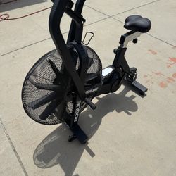 Rogue Echo Bike