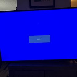 55 Inch Tv Like New Will Makena Deal