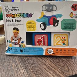 Baby Einstein Blocks