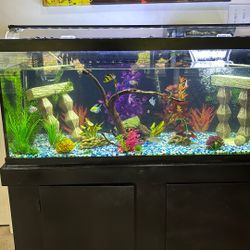 75 Gallon Aquarium 