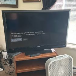40 inch Vizio TV