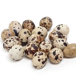 Quail Eggs