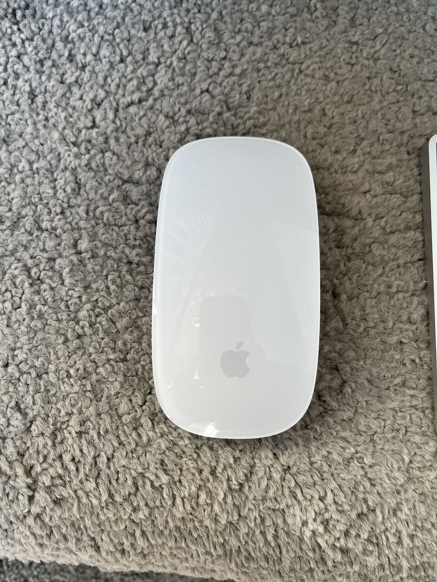 Apple Mouse