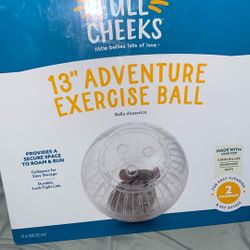 Exercise Ball