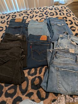 Women's pants