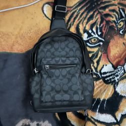 Coach   Messenger Bag