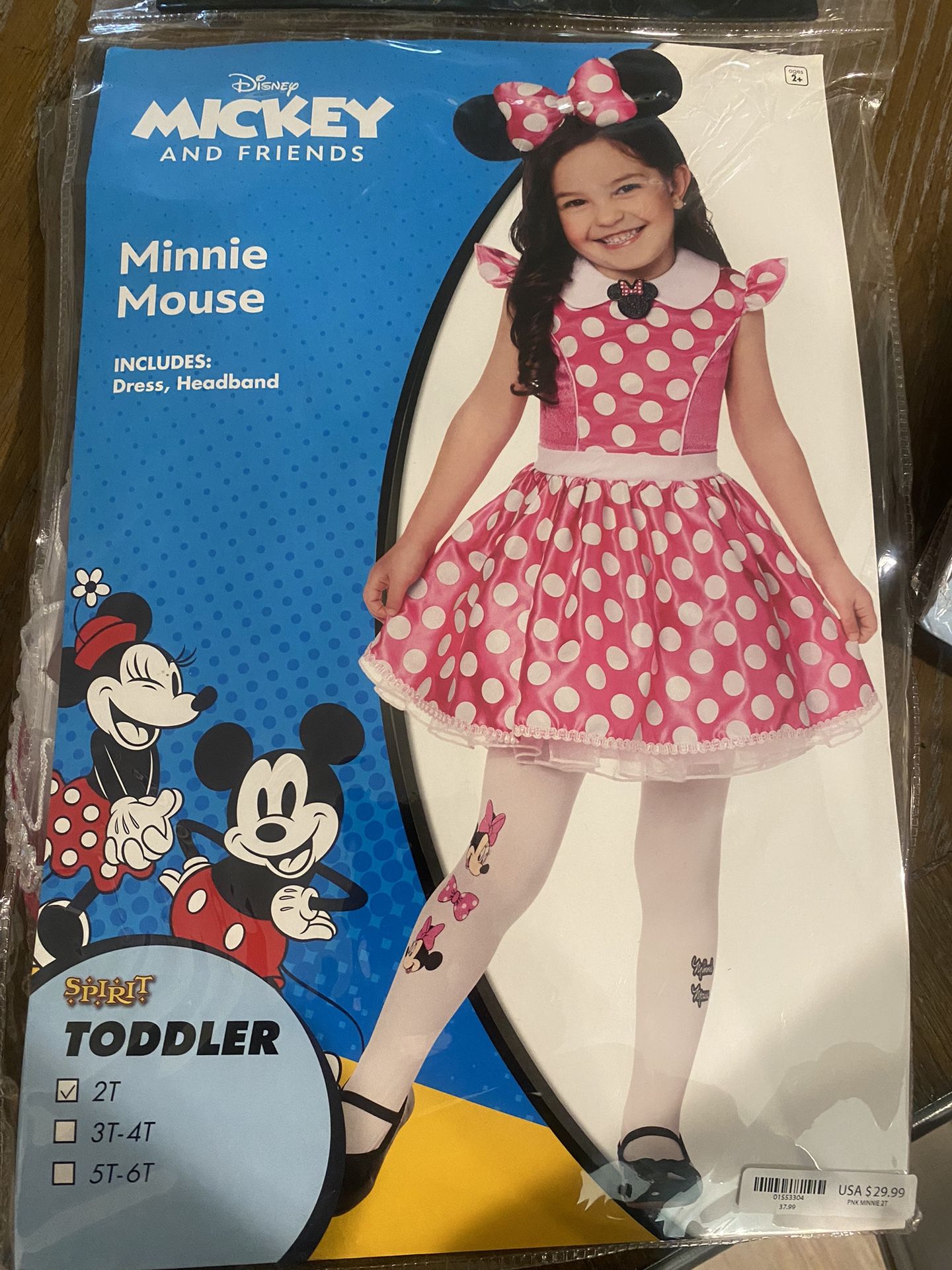 Disney Halloween Costume