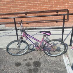 24 Inch Woman’s Bike 